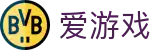 爱游戏 - 中国官方直营平台 · AYX GAME